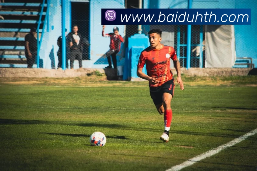 华体会平台生态图